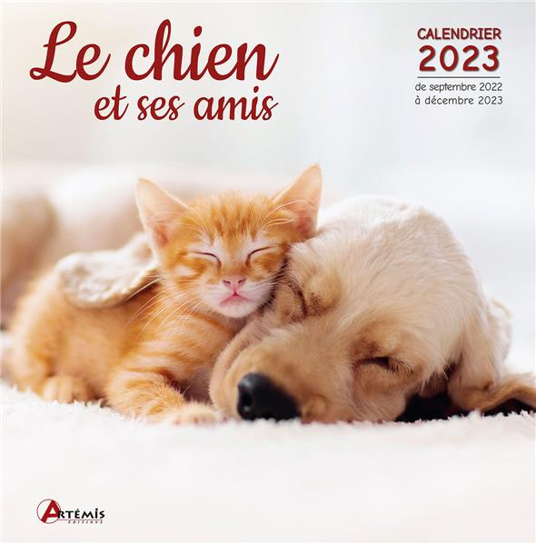 Emprunter Calendrier Le chien et ses amis. Edition 2023 livre
