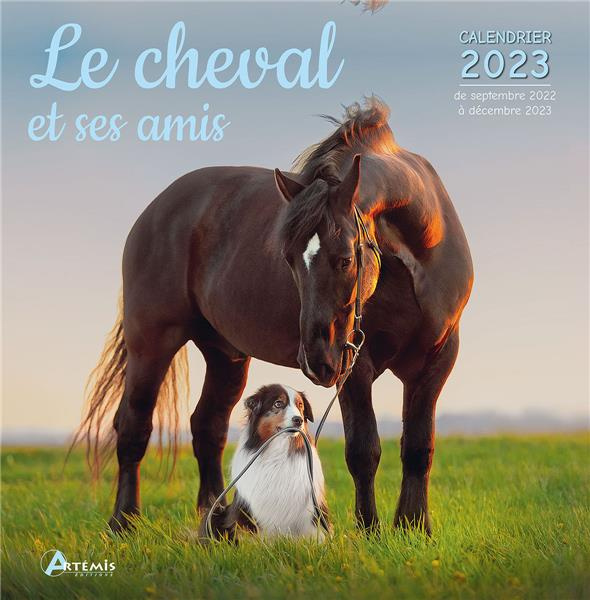 Emprunter Calendrier le cheval et ses amis. Edition 2023 livre