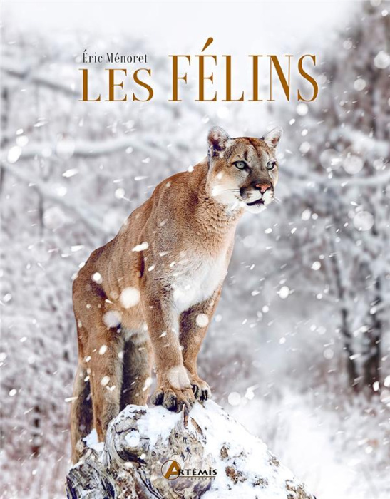 Emprunter Les félins livre