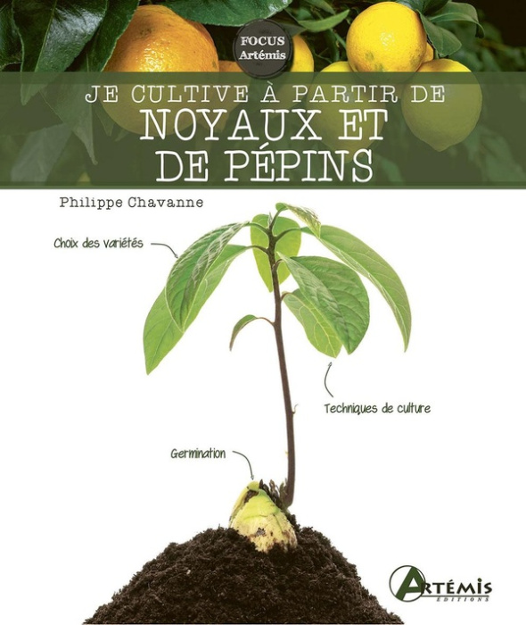 Emprunter Je cultive à partir de noyaux et de pépins livre