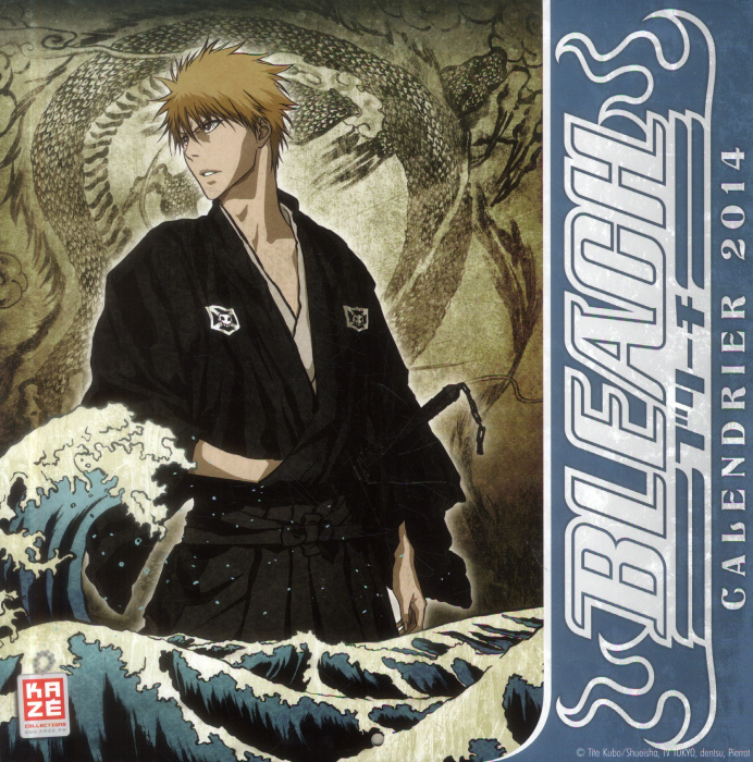 Emprunter Calendrier 2014 Bleach livre