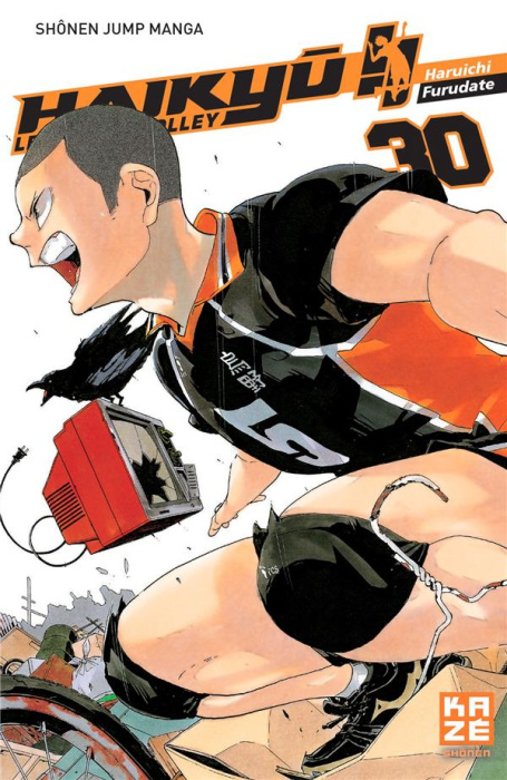 Emprunter Haikyu !! Les As du volley Tome 30 : Amour déçu livre