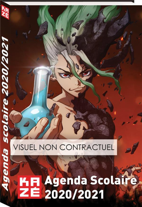 Emprunter AGENDA SCOLAIRE 2020-2021/DR. STONE livre
