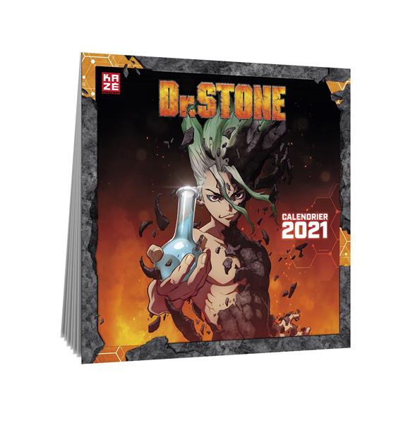 Emprunter Calendrier 2021 Dr Stone livre
