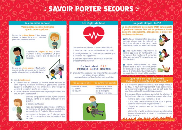 Emprunter LES POSTERS DE L'ECOLE : SAVOIR PORTER SECOURS livre