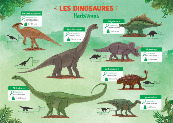Emprunter LES POSTERS DE L'ECOLE : LES DINOSAURES livre