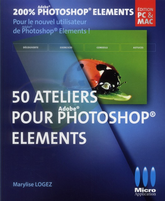 Emprunter 50 Ateliers visuels pour débuter livre