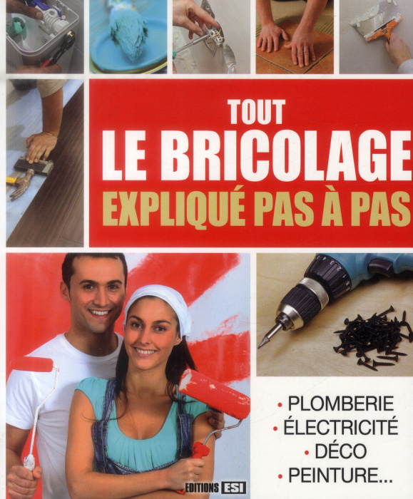 Emprunter Tout le bricolage expliqué pas à pas livre