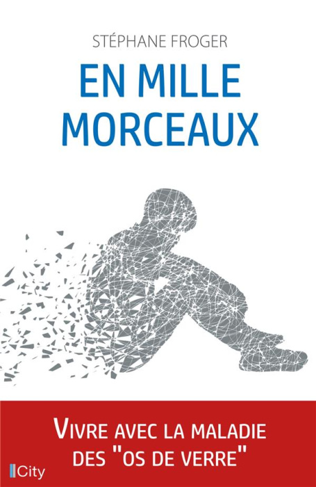 Emprunter En mille morceaux livre