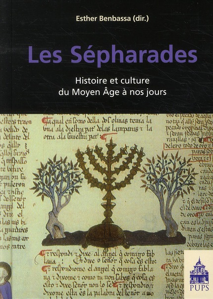 Emprunter Les Sépharades. Histoire et culture du Moyen Age à nos jours livre