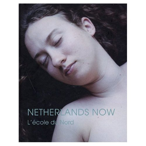 Emprunter Netherlands Now. L'école du Nord livre