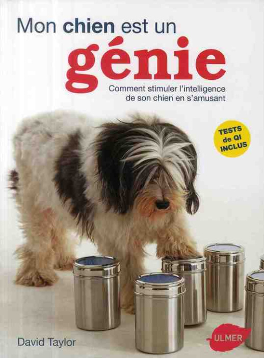 Emprunter Mon chien est un génie. Comment stimuler l'intelligence de son chien en s'amusant livre