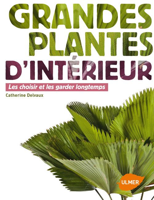 Emprunter Grandes plantes d'intérieur. Les choisir et les garder longtemps livre