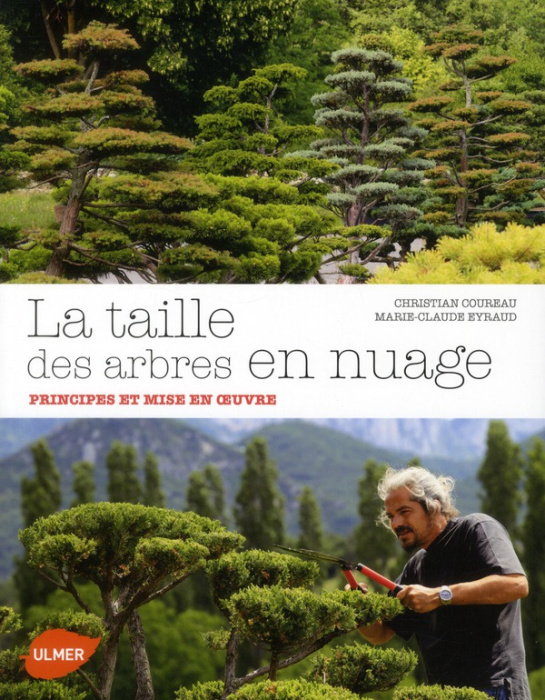 Emprunter La taille des arbres en nuage. Principes et mise livre