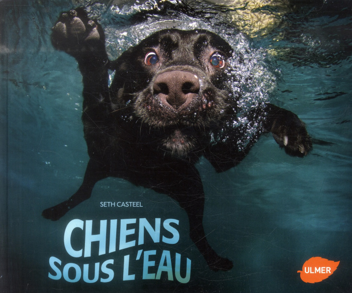Emprunter Chiens sous l'eau livre