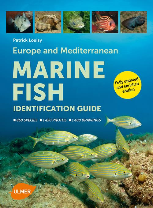 Emprunter MARINE FISH - IDENTIFICATION GUIDE livre