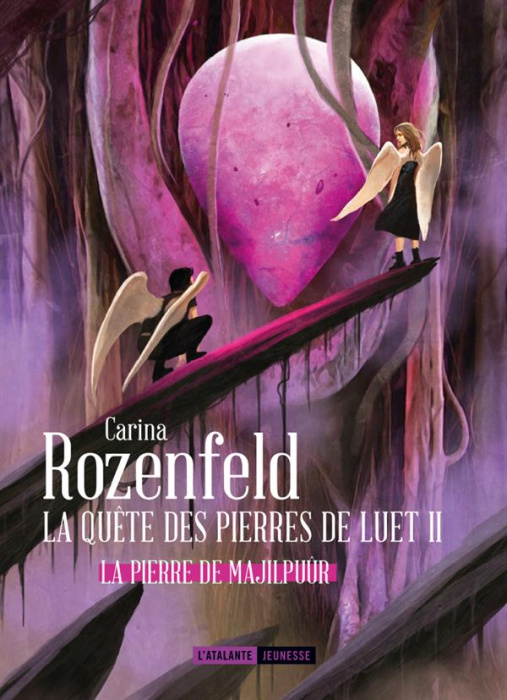 Emprunter La quête des pierres de Luet Tome 2 : La pierre de Majilpuûr livre