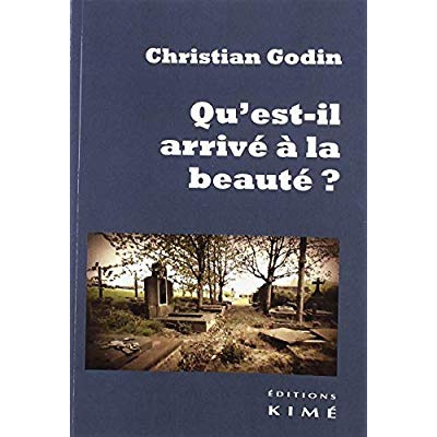 Emprunter Qu'est-il arrivé à la beauté ? livre