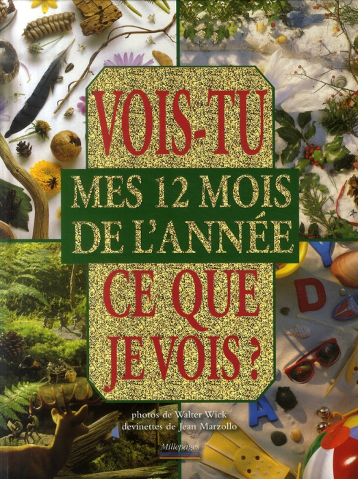 Emprunter Vois tu ce que je vois ? Mes 12 mois de l'année livre
