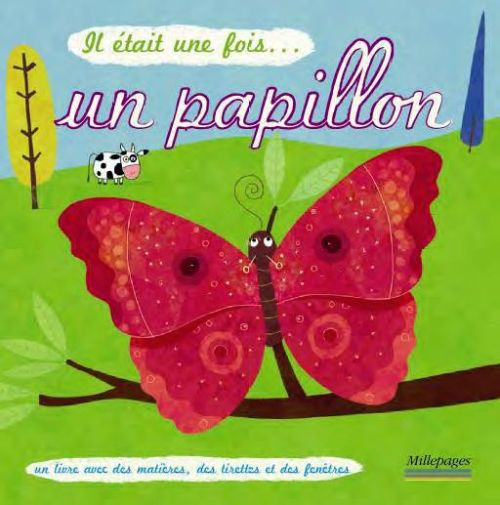 Emprunter Il était une fois un papillon livre