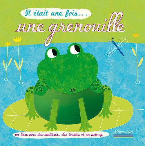 Emprunter Il était une fois... une grenouille livre