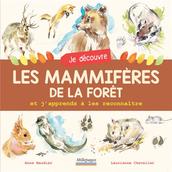 Emprunter Je découvre les mammifères de la forêt et j'apprends à les reconnaître livre