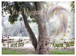 Emprunter JE DE L'ASCENSION OU TAROT DES 7 RAYONS SACRES livre