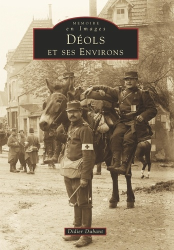 Emprunter DEOLS ET SES ENVIRONS livre