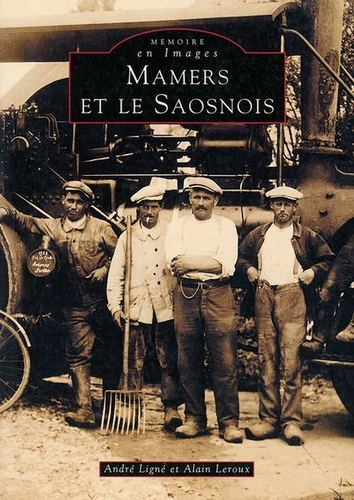 Emprunter MAMERS ET LE SAOSNOIS livre