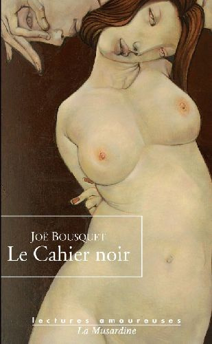 Emprunter Le Cahier noir livre