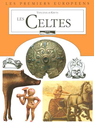 Emprunter Les celtes livre
