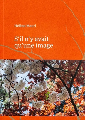 Emprunter S'il n'y avait qu'une image livre