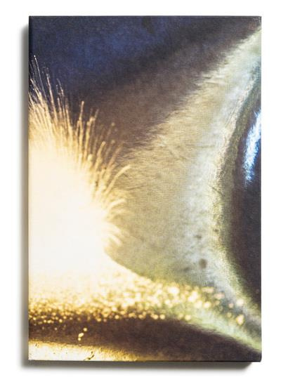 Emprunter Echoes of nature livre