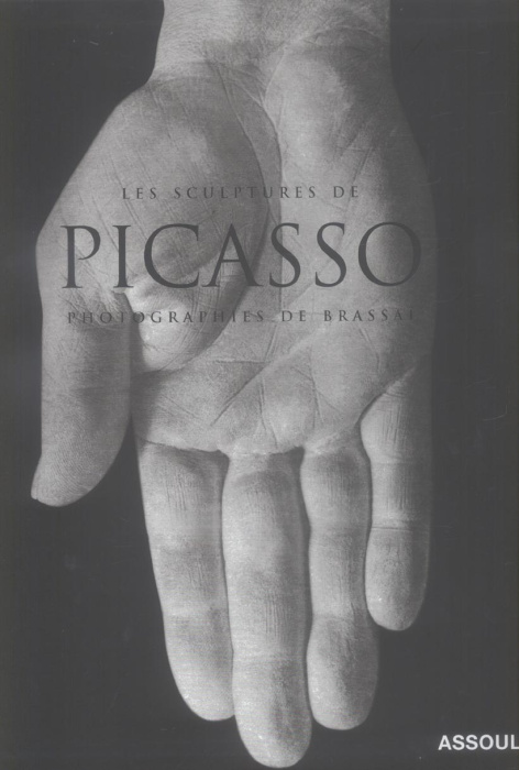Emprunter SCULPTURES DE PICASSO livre