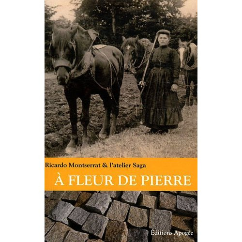Emprunter A fleur de pierre livre