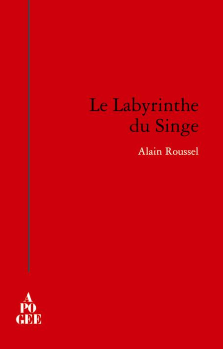 Emprunter Le labyrinthe du singe livre