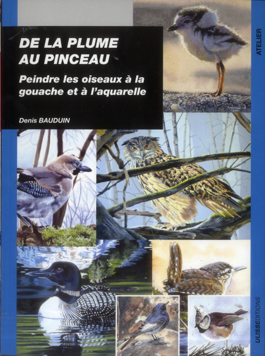 Emprunter De la plume au pinceau. Peindre les oiseaux à la gouache et à l'aquarelle livre