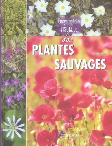Emprunter Encyclopédie visuelle des plantes sauvages livre
