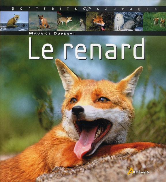 Emprunter Le renard livre