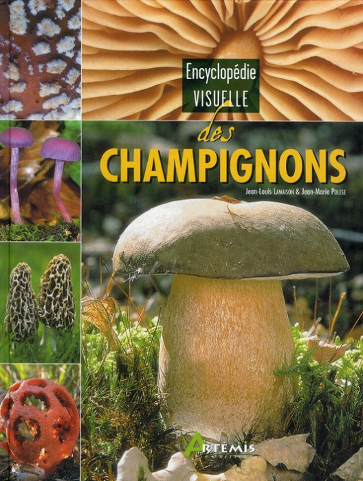 Emprunter Encyclopédie visuelle des champignons livre