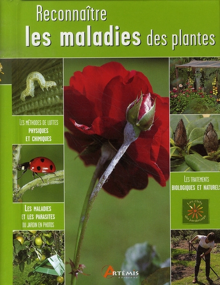 Emprunter RECONNAITRE LES MALADIES DES PLANTES livre