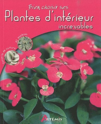 Emprunter Plantes d'intérieur increvables livre