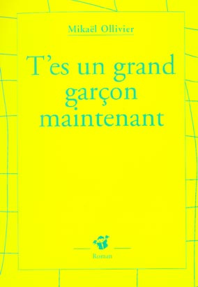Emprunter T'es un grand garçon maintenant livre