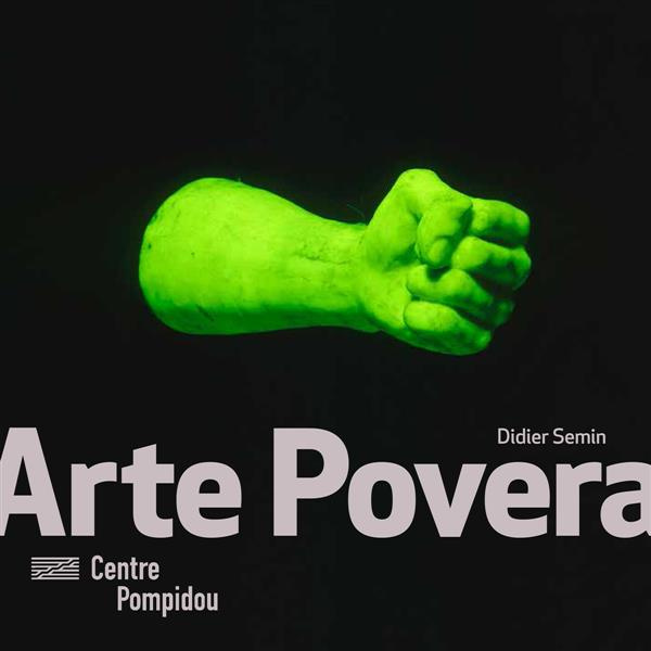 Emprunter Arte Povera livre