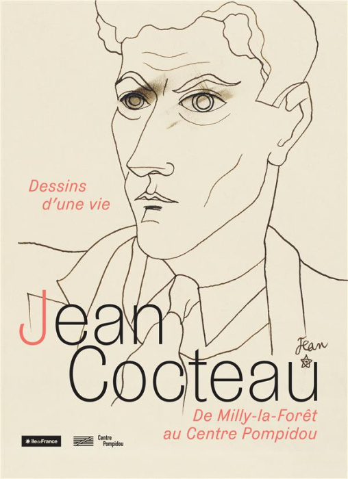 Emprunter Jean Cocteau. Dessins d'une vie, de Milly-la-Forêt au Centre Pompidou livre