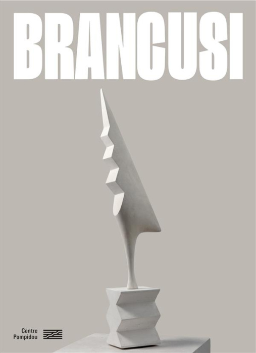 Emprunter Brancusi. L'art ne fait que commencer livre