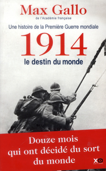 Emprunter Une histoire de la Première Guerre mondiale. Tome 1, 1914, le destin du monde livre