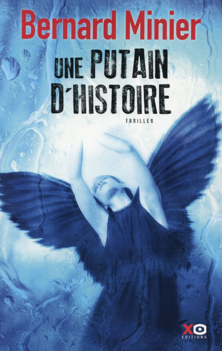 Emprunter Une putain d'histoire livre