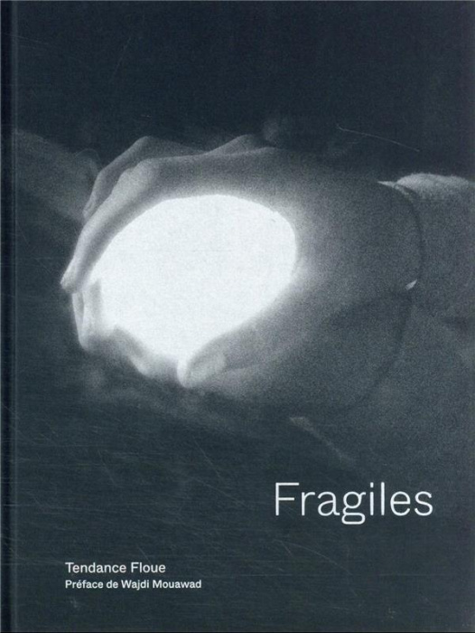 Emprunter Fragiles livre