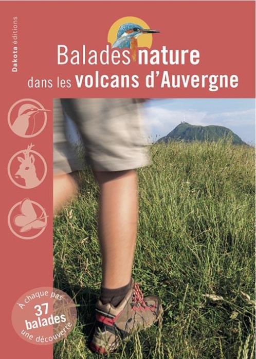 Emprunter Balades nature dans les volcans d'Auvergne livre